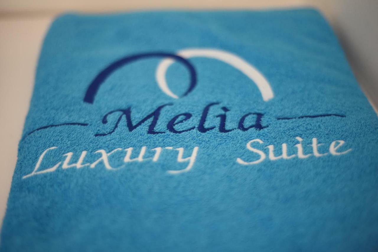 Melia Luxury Suite With Pool Nea Iraklitsa Exterior photo